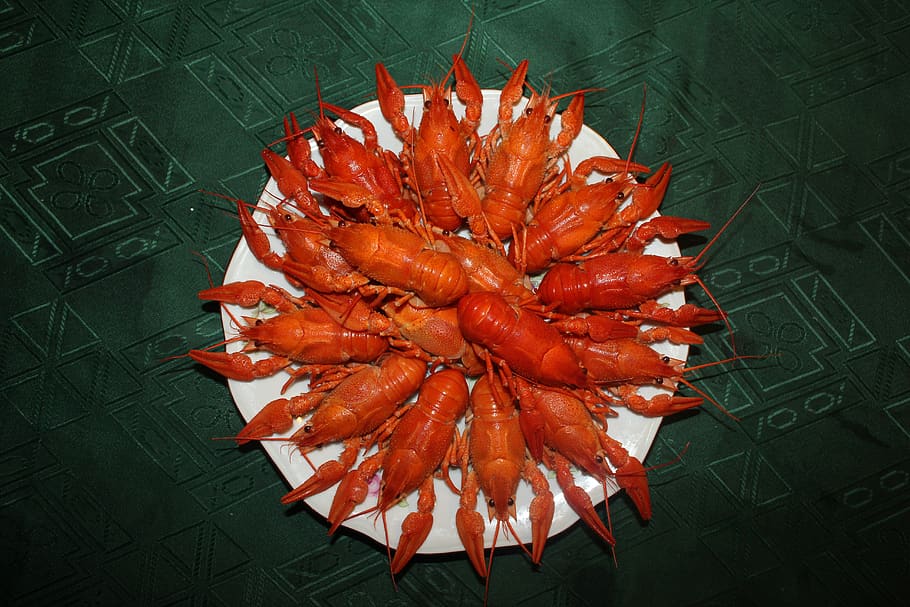 crayfish, boiled crawfish, red crayfish, food, appetizer, crayfish on a plate, high angle view, freshness, orange color, food and drink