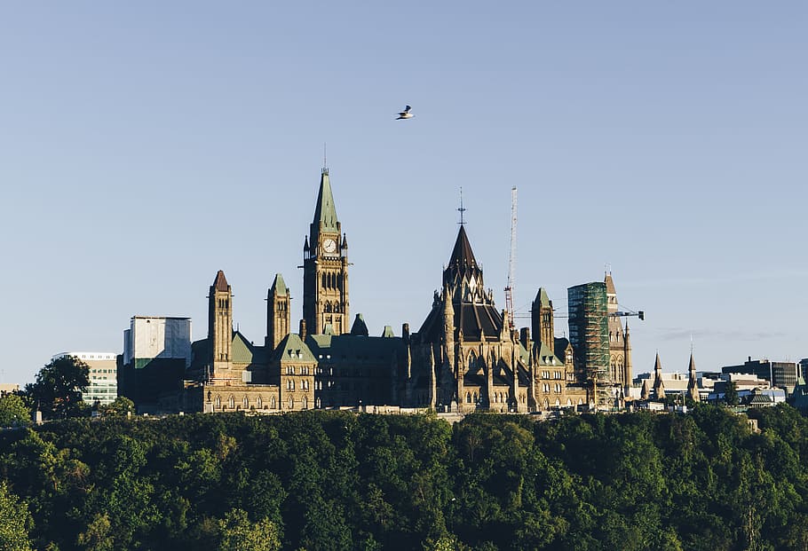 parliament, landmark, ottawa, canada, government, architecture, city, sky, blue, sunshine