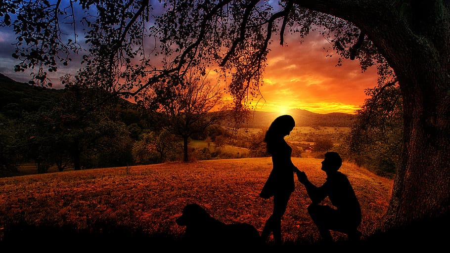 sunset, outdoors, dawn, nature, dusk, silhouette, couple, lovers, dog, canine