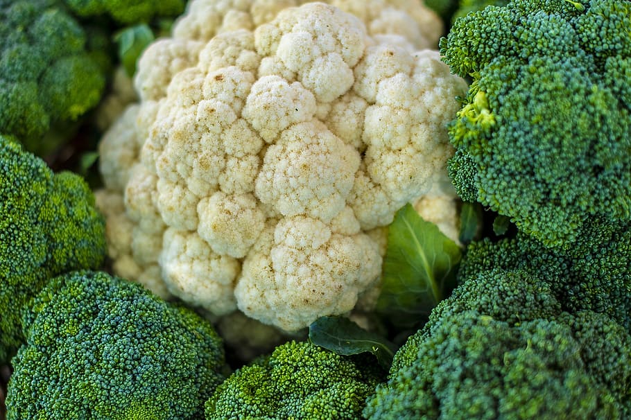 cauliflower, broccoli, farmer, market, harvest, farm, heads, agriculture, ripe, harvested