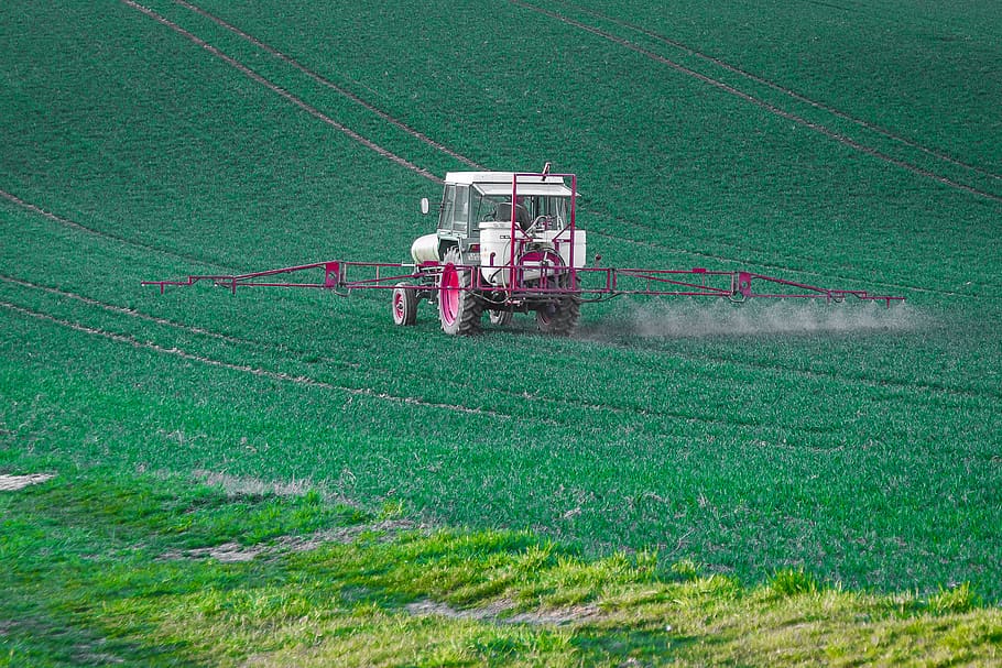 pesticide, glyphosate, plant protection, spray mist, herbicides, pest control, insects die, agriculture, field, land