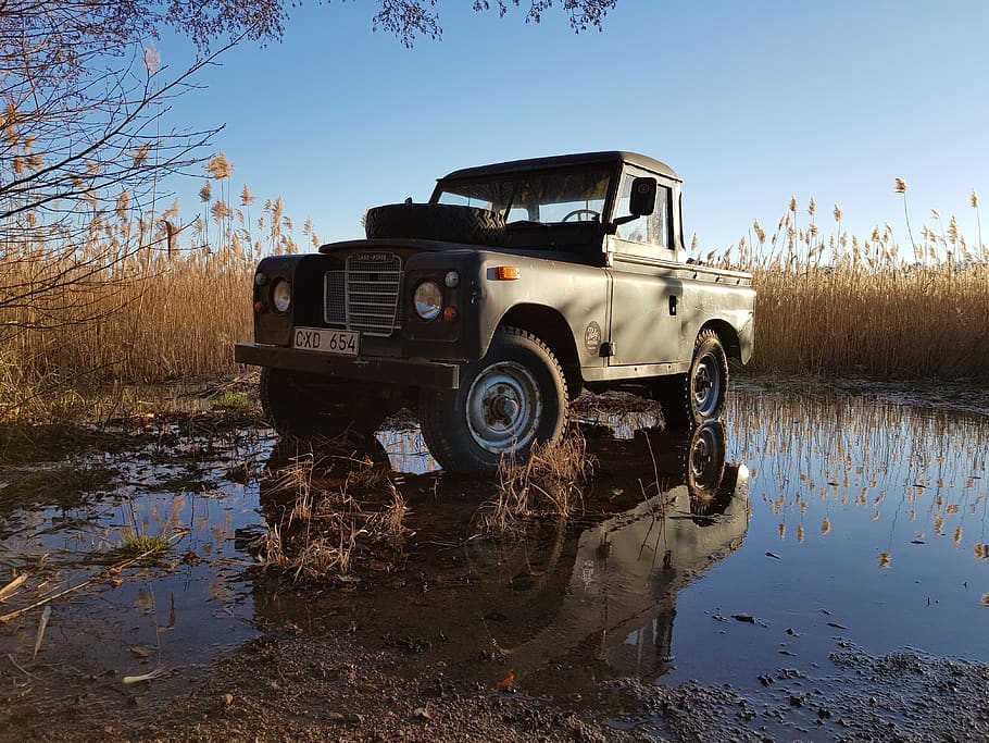 land rover, spring, flood, used car, car, jeep, 4x4, sky, nature, mode of transportation