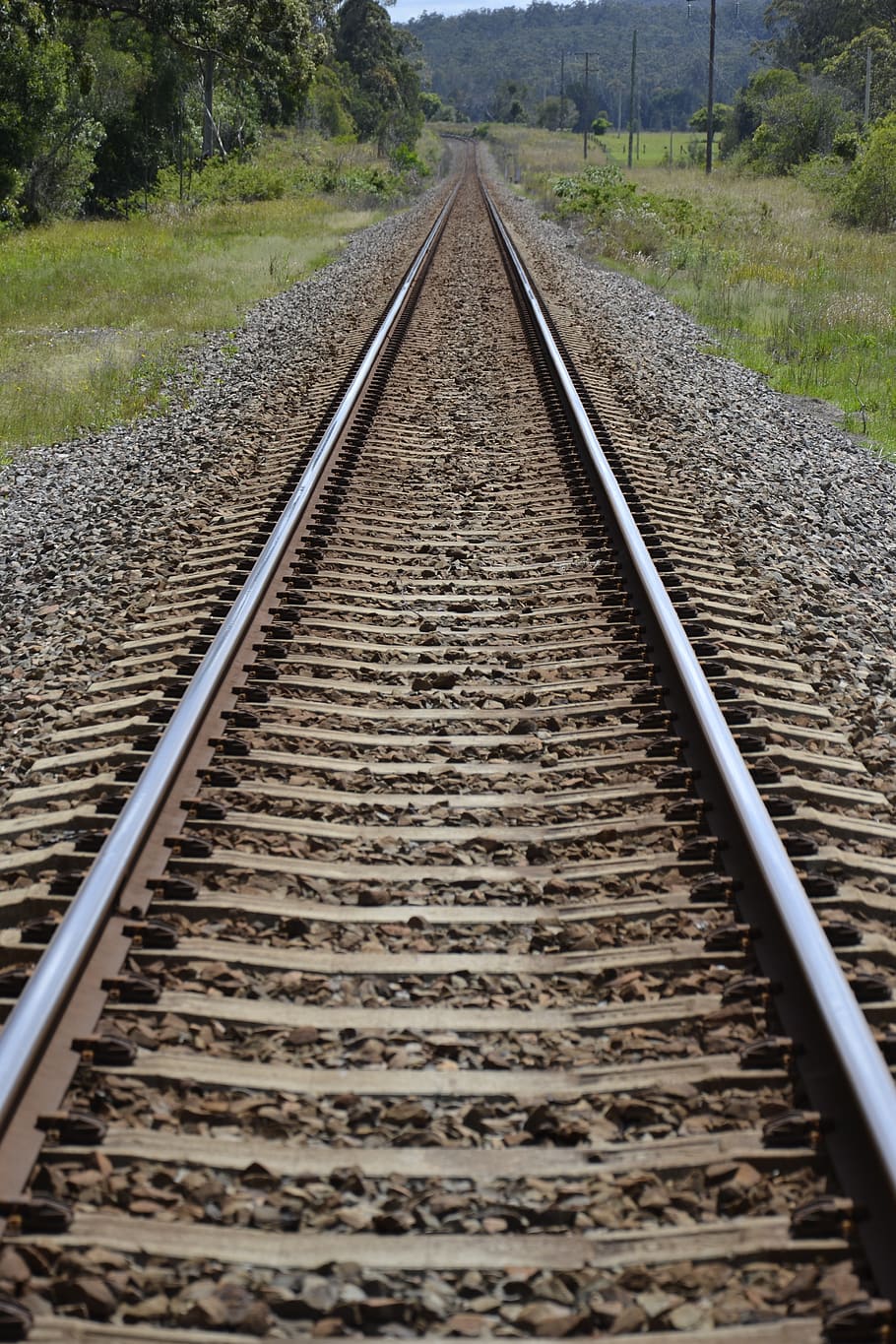 track, train, rail, sleeper, railroad track, rail transportation, direction, the way forward, transportation, diminishing perspective