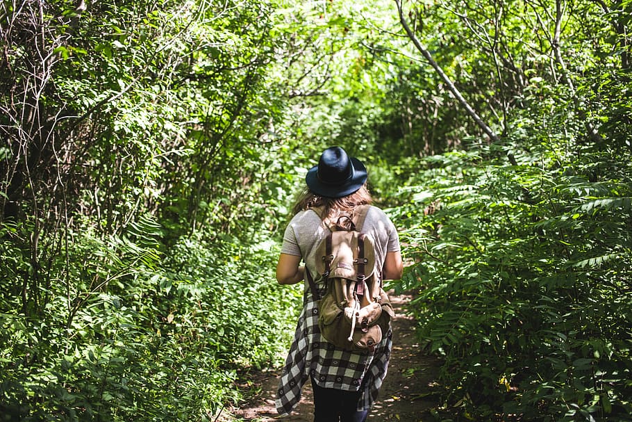 hembra, excursionista, llevando, mochila walikng, bosque, 25-30 años de edad, aventura, verde, sombrero, parque