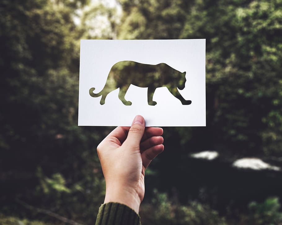paper, lion, drawing, nature, outdoor, tree, plant, hand, arm, blur