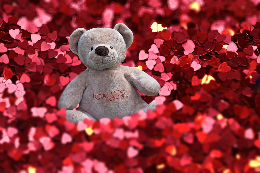 hati merah, valentine, cinta, mensaje, perasaan, boneka beruang, boneka mainan, mainan, tidak ada orang, representasi hewan