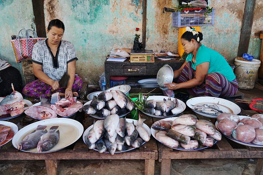bagan, myanmar, market, fish, travel, tourism, bazar, local, farmers, fisherman