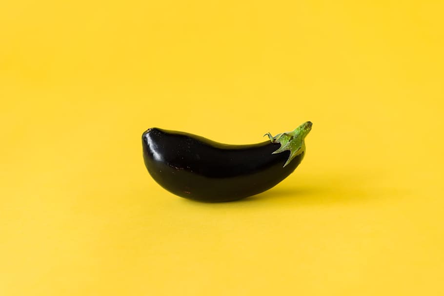 eggplant, cooking, farmers, flat design, food, foodie, fruits, funny, garden, hungry