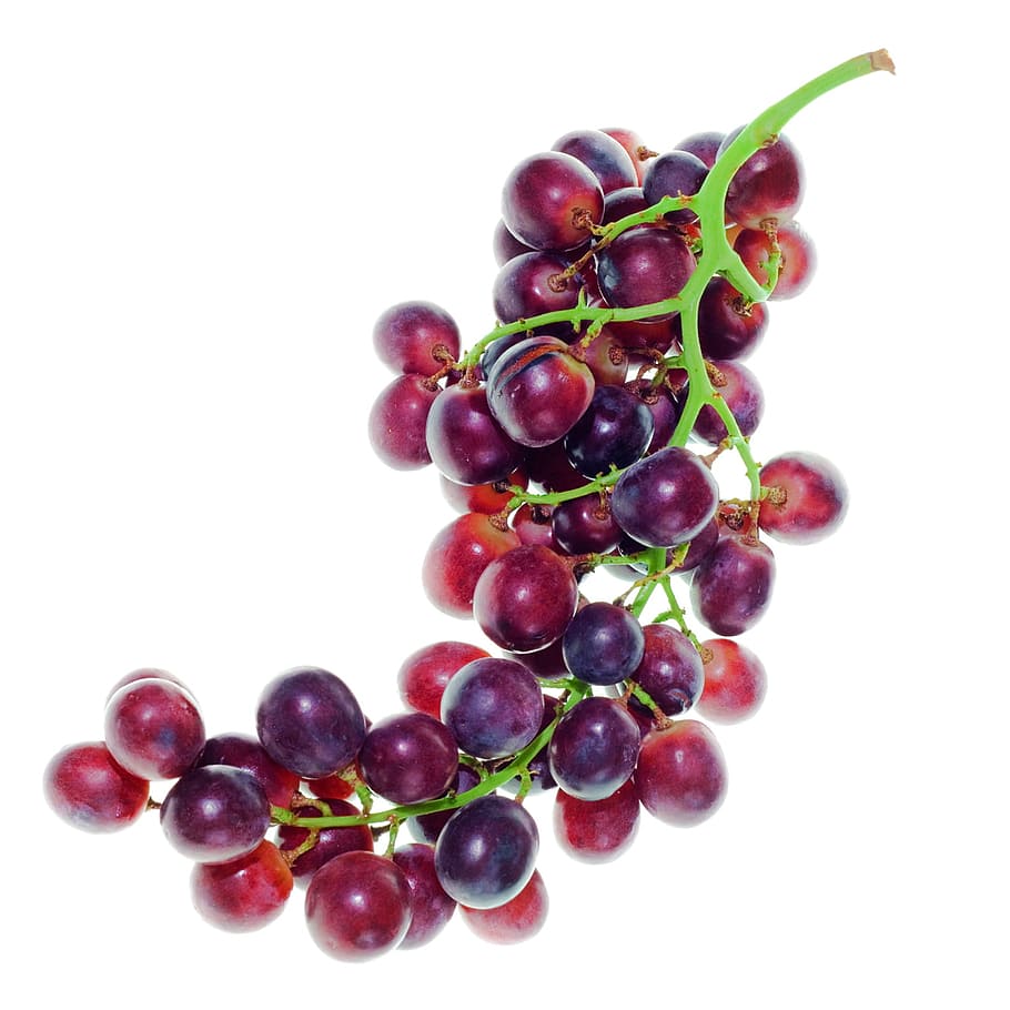 fruit, grape, healthy, isolated, juicy, nutrition, one, vegetarian, white, white background