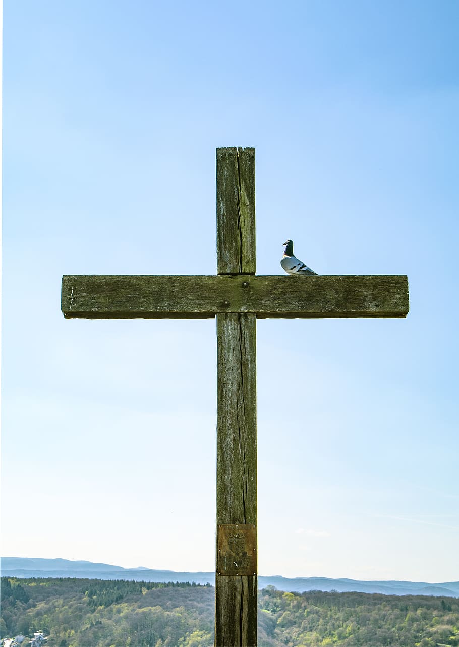 cross, dove, peace, christianity, religious, christian, god, bird, faith, symbol