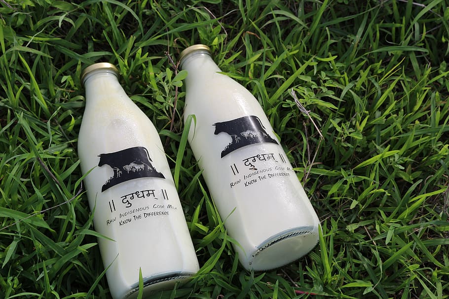 milk, glass bottle, glass, bottle, food, healthy, white, dairy, organic, drink