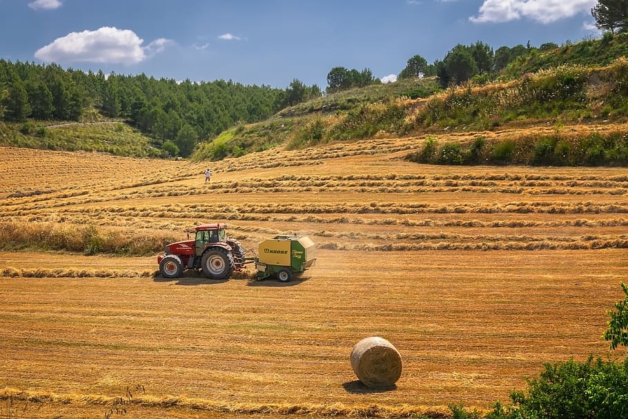 harvest, tractor, agriculture, field, fieldwork, summer, grass, hay, straw, bale