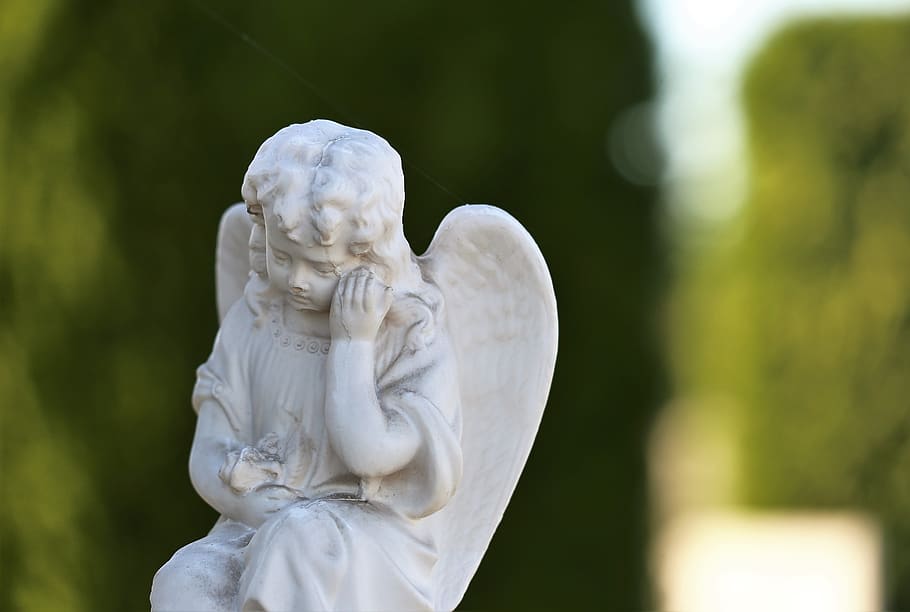 little angel, cypress, sad, cute, decoration, spiritual, wings, cemetery, outdoor, human representation