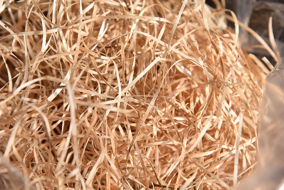 wood wool, garden, underlay material, protection, close-up, plant, dry, nature, selective focus, day