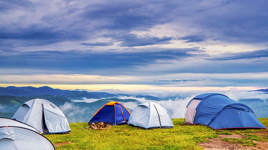 camping, camp, adventure, the stake, leisure, tent, nature, trekking, summer,  forest | Pxfuel