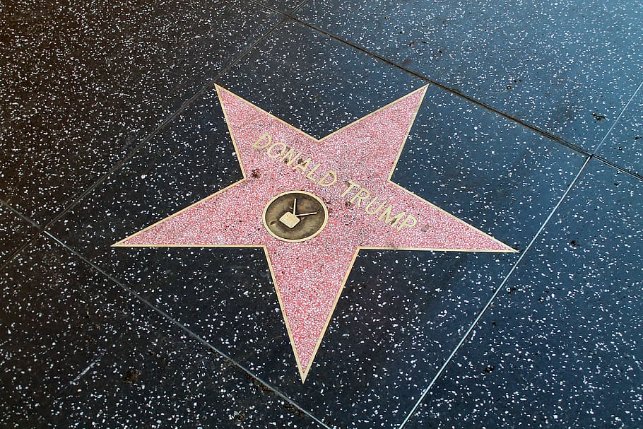 hollywood, los angeles, walk of fame, donald trump, famous, star, celebrity, shape, high angle view, art and craft