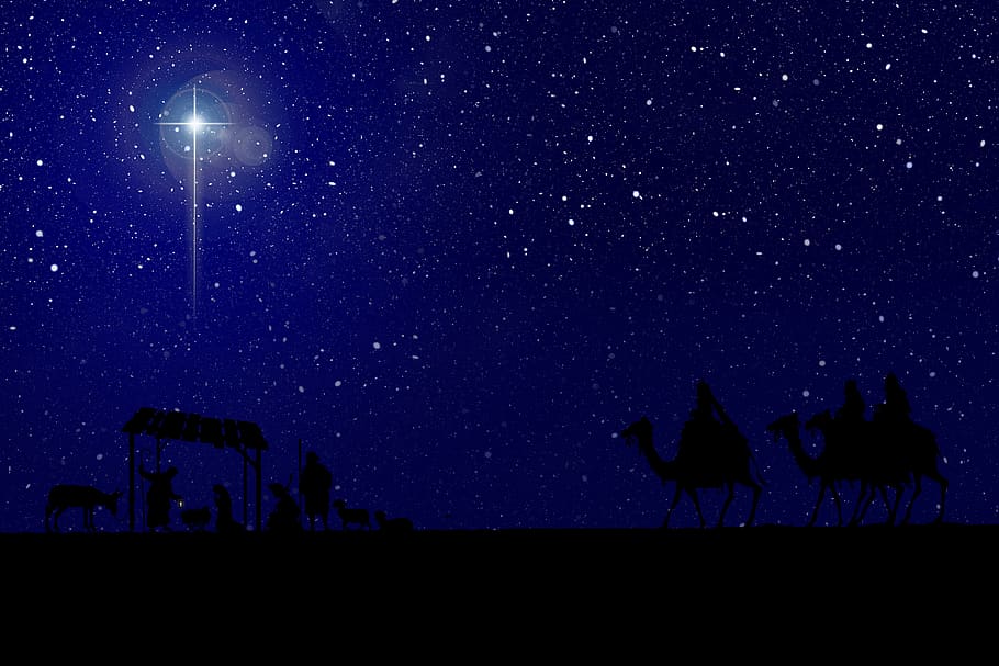 natividade, estrela, manjedoura, natal, berço, jesus, belém, cristão, noite, estrela - espaço
