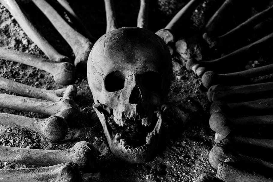 ossos, crânio, esqueleto, morte, perigo, osso, dia das bruxas, escuro, mortal, mortos