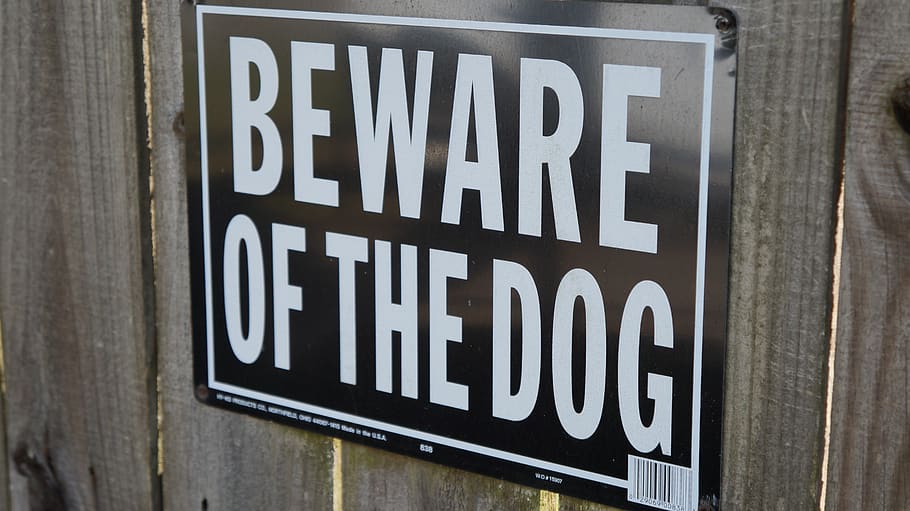 beware of dog, sign, beware, warning, dog, text, communication, western script, capital letter, information