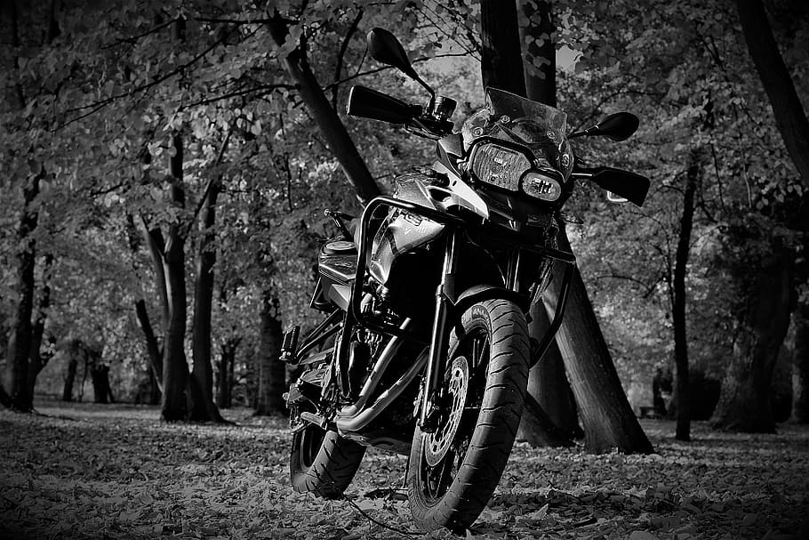 engine, bmw, f700gs, gs, bicycle, tree, land vehicle, plant, nature, transportation