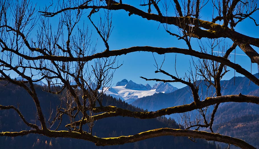 aussersee, dachstein, hiking, austria, mountain, beautiful, sky, autumn, sunshine, tree