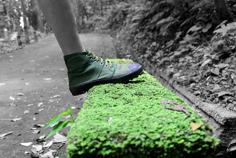 green, grass, outdoor, road, travel, adventure, shoe, footwear, low section, one person