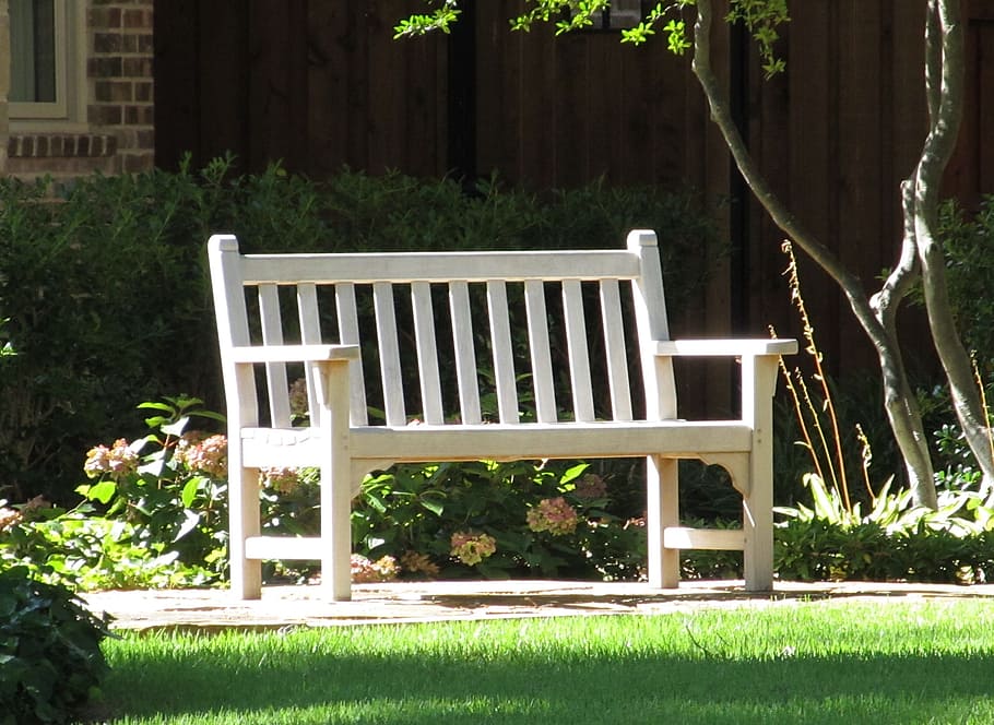 park, bench, furniture, sit, chair, plant, seat, front or back yard, nature, grass