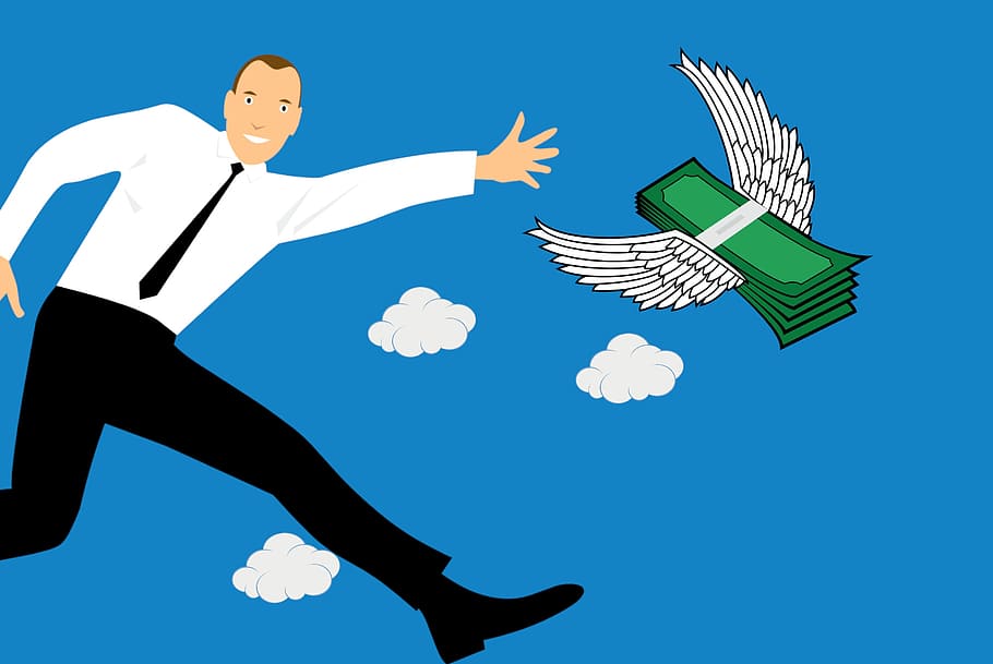 illustration, business man, chasing, money, profit, flies, away, wings., chase, businessman