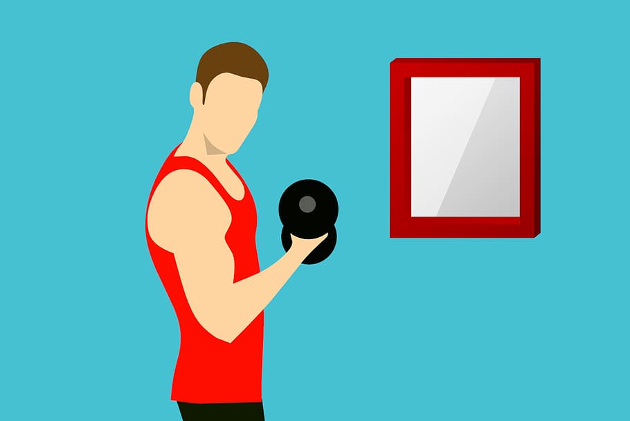 illustration, man, working, weights., sport, fitness, gym, dumbbell, dumbbells, fit