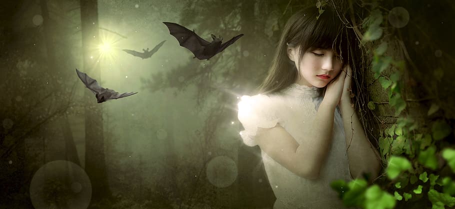 fantasy, girl, forest, bat, mood, mysterious, nature, dream, composing, photomontage