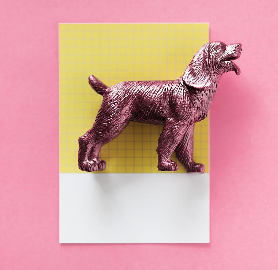 Resumen, animal, fondo, canino, tarjeta, colorido, concepto, creativo, decoración, perro