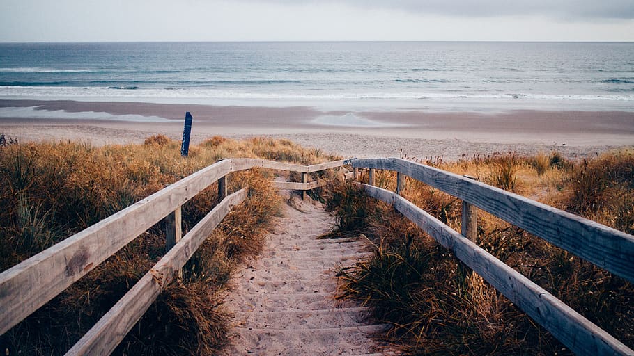 pathway, beach, sand, ocean, landscape, path, shore, outdoor, walkway, sea