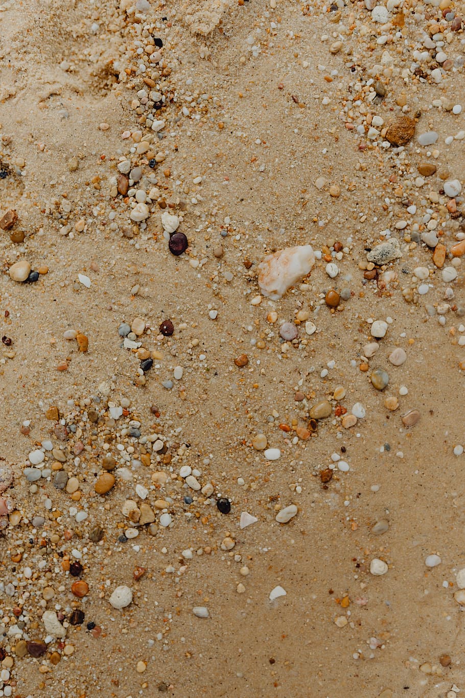 latar belakang pantai pasir, kerang laut, &, kerikil, -, banyak, bulat, kecil, batu, pantai
