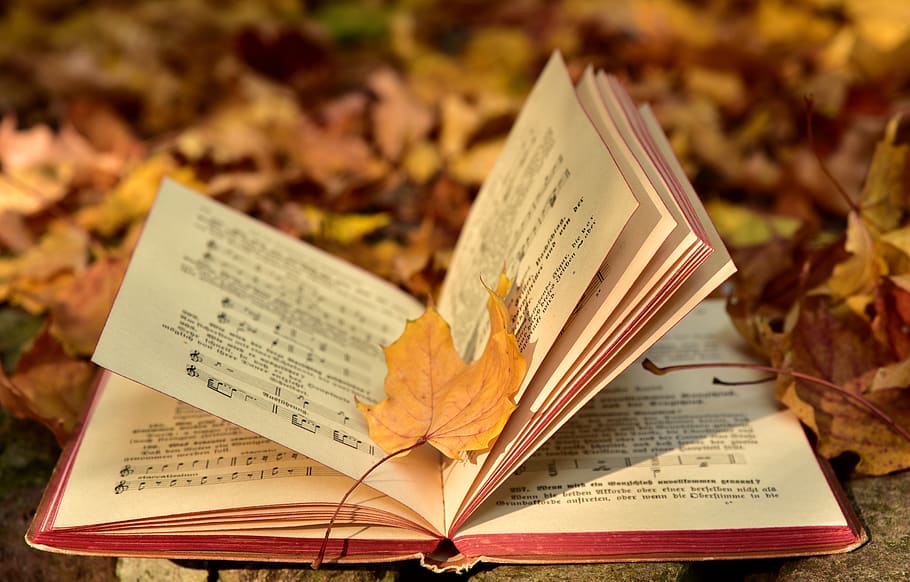 book, autumn, leaf, leaves, old, transient, music, songs, song book, finally