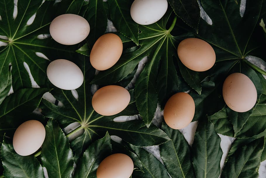 fresh eggs, food, organic, eggs, easter, flatlay, flat lay, ingredient, egg, food and drink