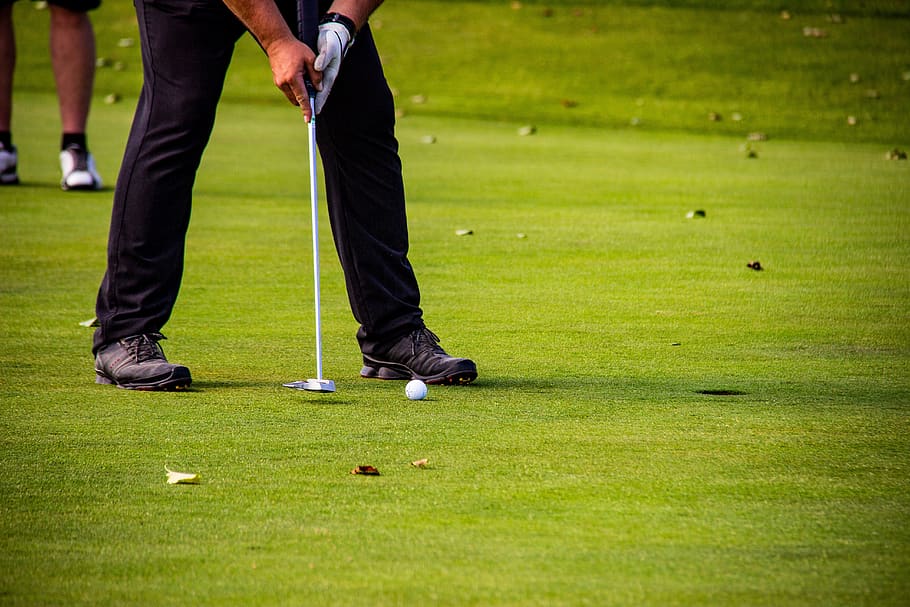 golf, tee, golfers, golf course, putting, sport, ball, grass, golf club, green color