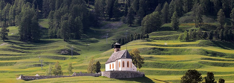 mountain meadow, chapel, alpine, mountains, mountain meadows, idyll, alm, switzerland, samedan, graubünden