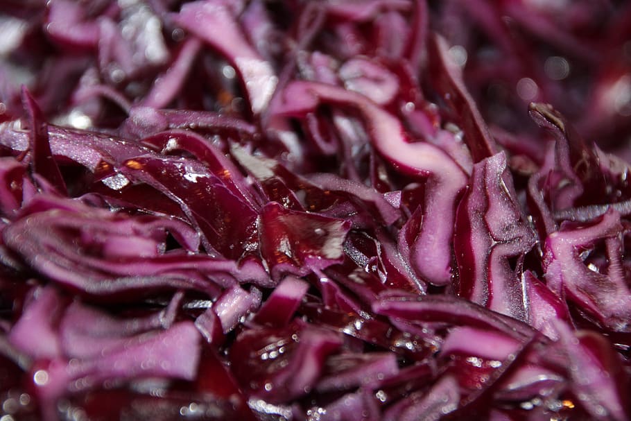 red cabbage, eat, w, raw food, food, delicious, blue, food and drink, full frame, backgrounds