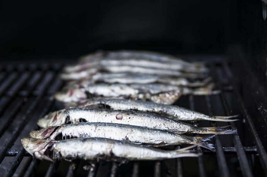 sardines, seafood, grilling, mediterranean, fishing, appetizer, lunch, cooking, marine, delicious