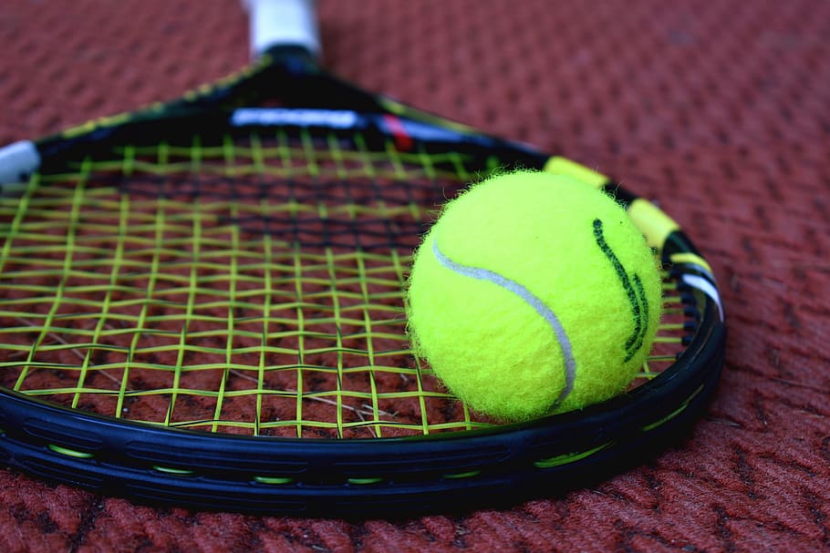tennis, racket, tennis ball, sport, court, exercise, equipment, ball, sports equipment, tennis racket