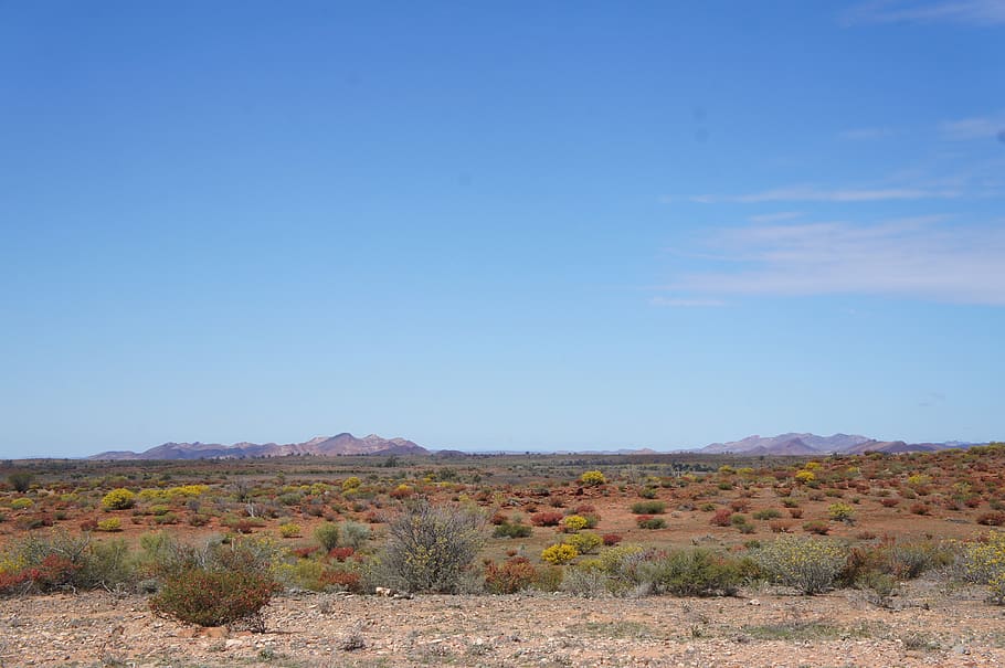 australian desert, outback australia, landscape, desert, outback, scenic, scenics - nature, sky, environment, beauty in nature