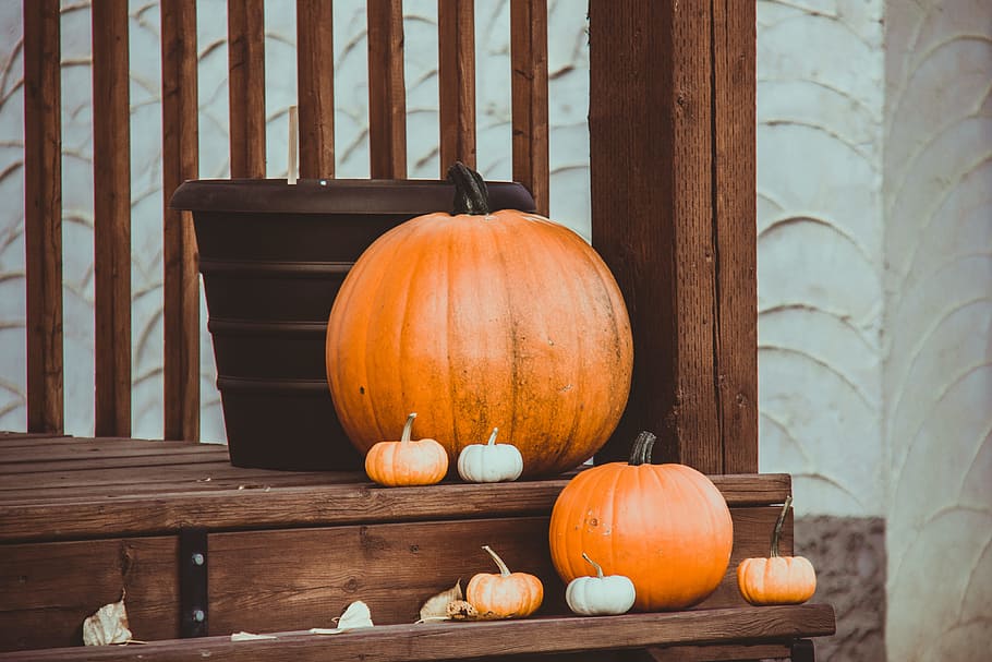 thanksgiving, fall, weather, pumpkins, pumpkin, halloween, festive, porch, pilgrims, pilgrimage