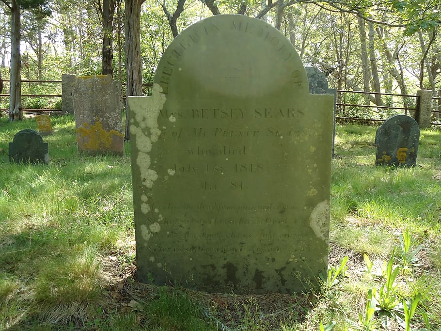 headstone, gravestone, inscription, cemetery, graveyard, grass, plant, tree, grave, tombstone