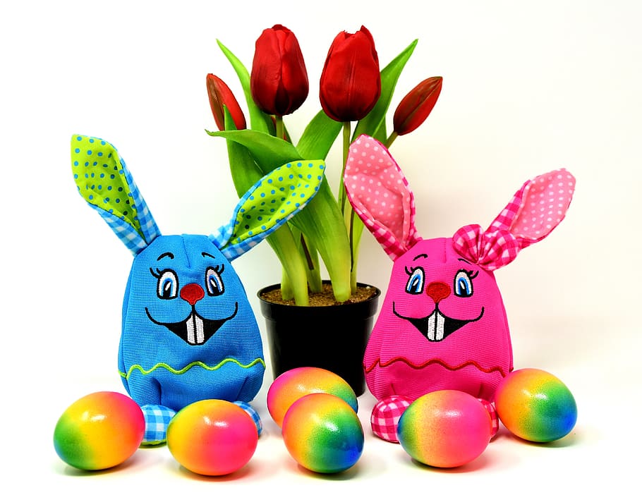 paskah, kelinci paskah, warna-warni, warna, kelinci, musim semi, dekorasi paskah, telur, berwarna, angka