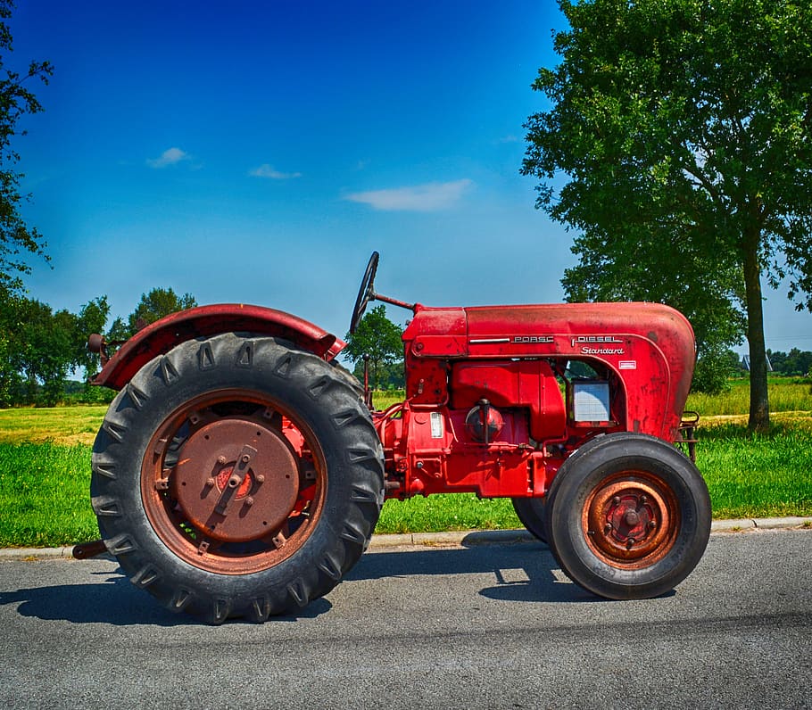 porsch, diesel, default, porsch diesel standard, oldtimer, tractor, agriculture, vehicle, historically, tractors