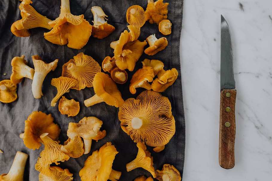 memetik, jamur chantarelle, kayu, chantarelle, jamur, jamur yang dapat dimakan, jamur kuning, musim gugur, tampilan sudut tinggi, still life