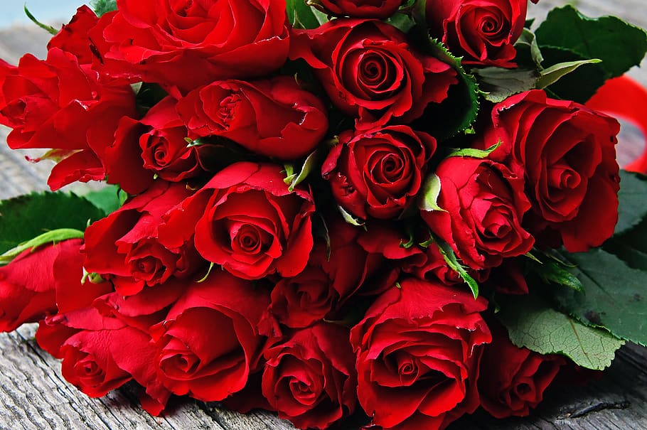 mawar merah, buket mawar merah, valentine, hari valentine, cinta, romantisme, mawar, bunga, buket, romansa