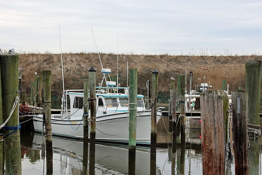 fishing boats, moored, dock, point, pleasant, new, jersey., moored fishing boats, docked fishing boats, fishing boat