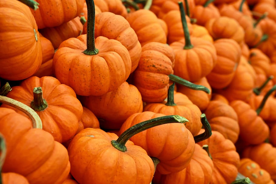 orange, pumpkins, halloween, food, food and drink, orange color, healthy eating, wellbeing, freshness, large group of objects