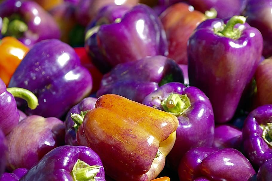 market fresh bell peppers, pepper, bell, vegetables, food, cooking, healthy, nutrition, fresh, purple